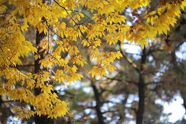 男生成熟稳重微信网名(共683个)