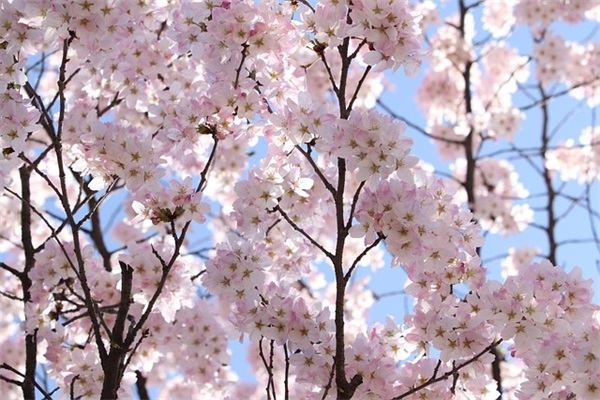 能上热门涨粉丝的网名(共681个)