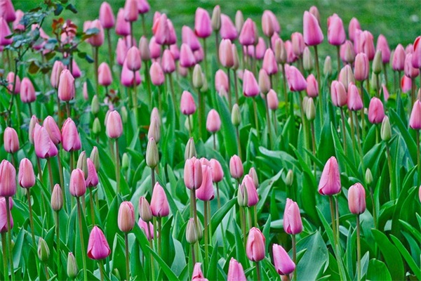 个性游戏角色网名四个字