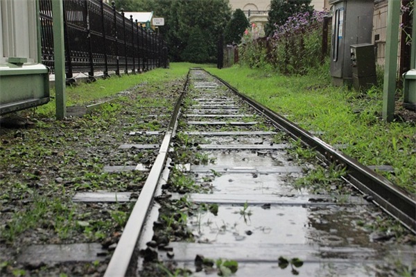 冷漠帅气游戏名(优选641个)