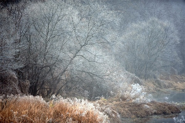 五个字以上经典微信名字(共579个)