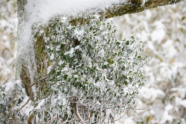 帮你取个好网名(优选588个)