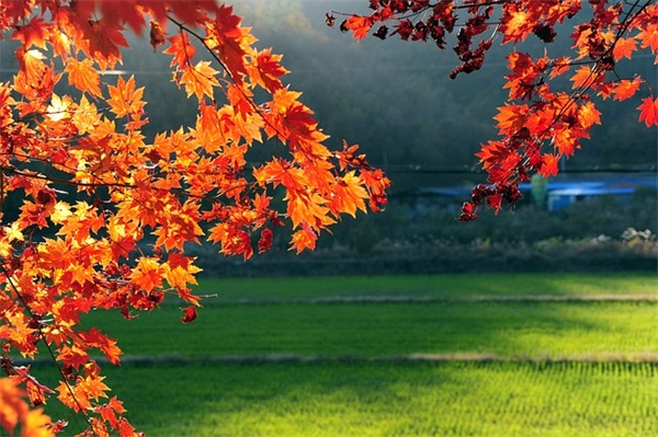 2025年运气最旺的网名女(优选638个)