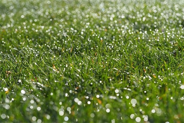 逆战五个字的名字大全(优选564个)