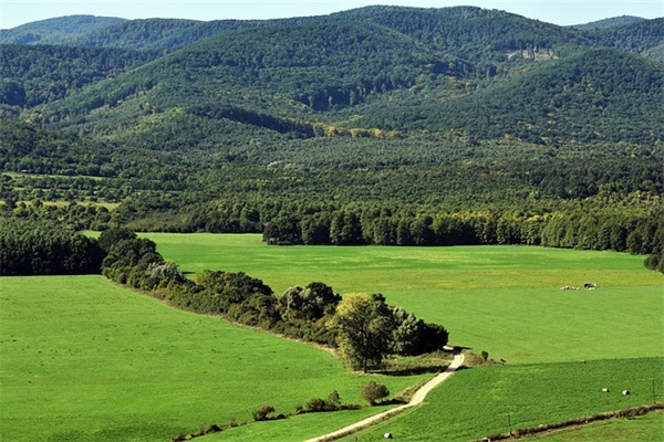 六字不非主流情侣名字(优选302个)