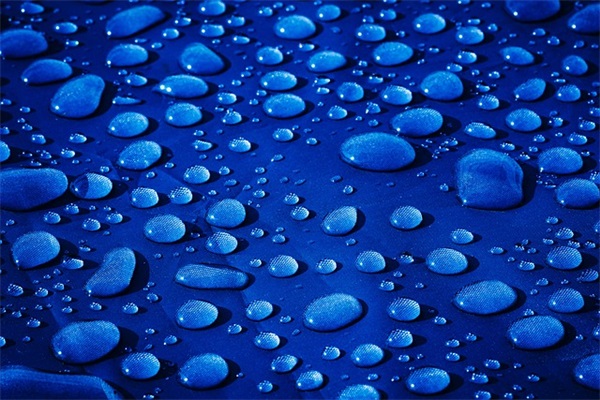 抖音好记能火的名字女(精选614个)