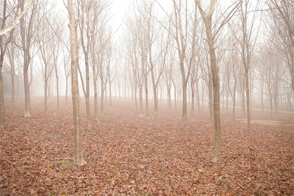 起个好网名字大全转运(605个)