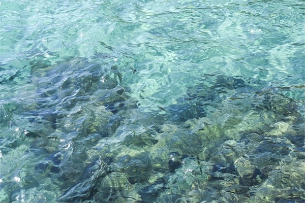 王者荣耀好听的名字2025(精选596个)