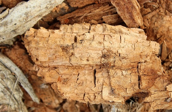 有深意的网名(594个)