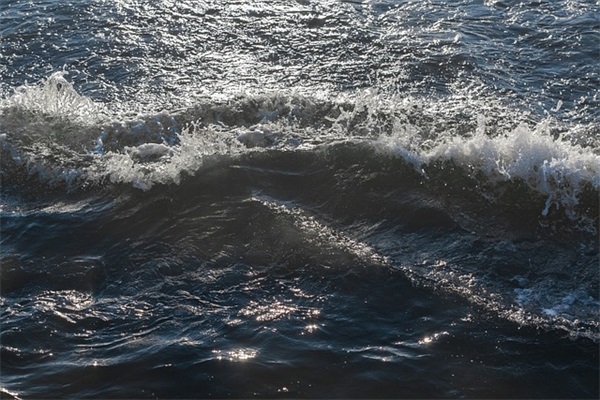 抖音两个字网名(优选787个)