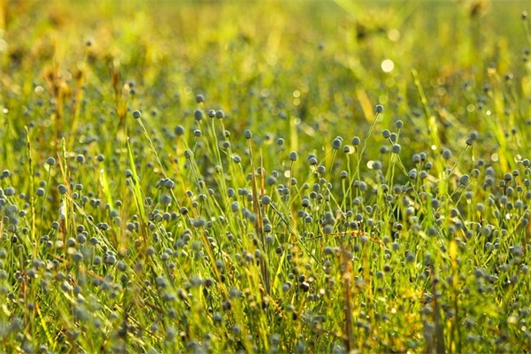 霸气点的游戏名字(590个)