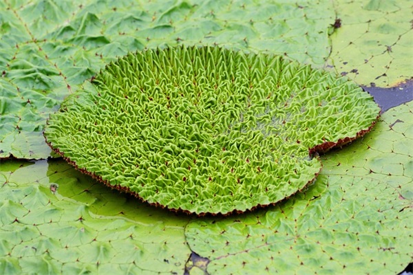 好听又优雅的女生网名大全(精选580个)