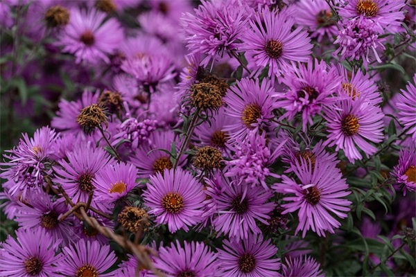 好听非主流的微信名字大全(565个)