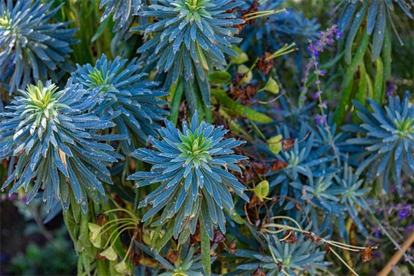 霸气的网名大全(共500个)