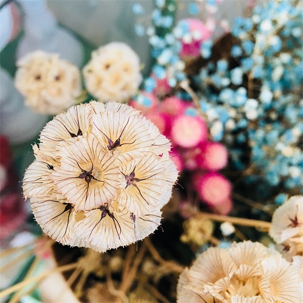 热门的爆笑昵称合集(共497个)