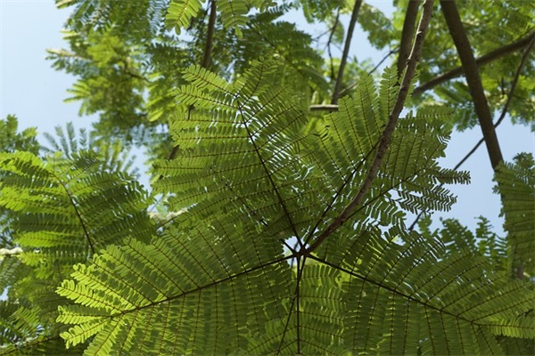 7字经典游戏名字大全(优选412个)