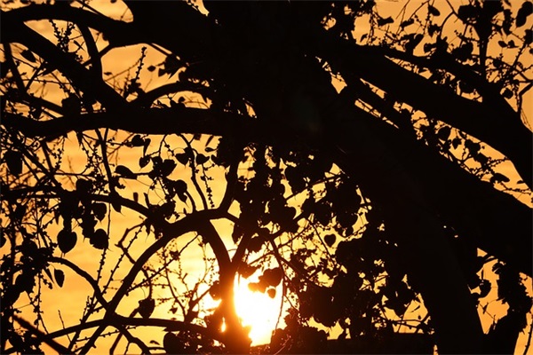 高冷的四字网名(优选550个)