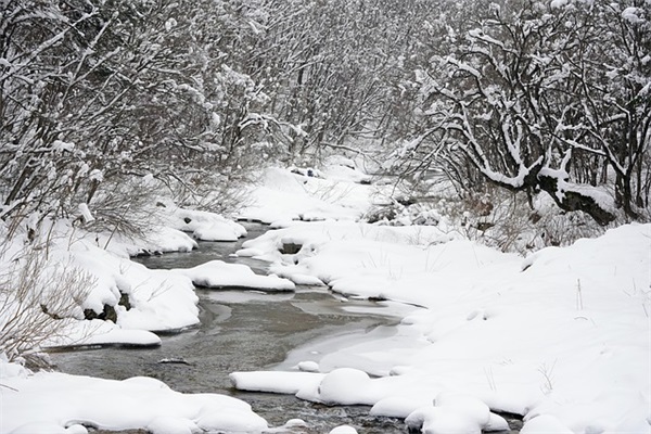 唯美伤感的微信网名(534个)