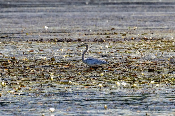 好听又简短男生经典微信网名(精选540个)