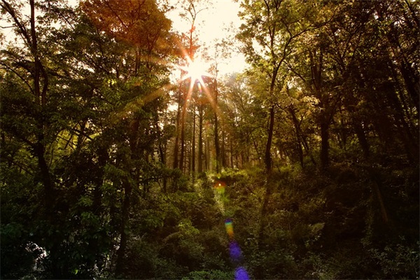 独特不一般的最新微信网名(精选539个)