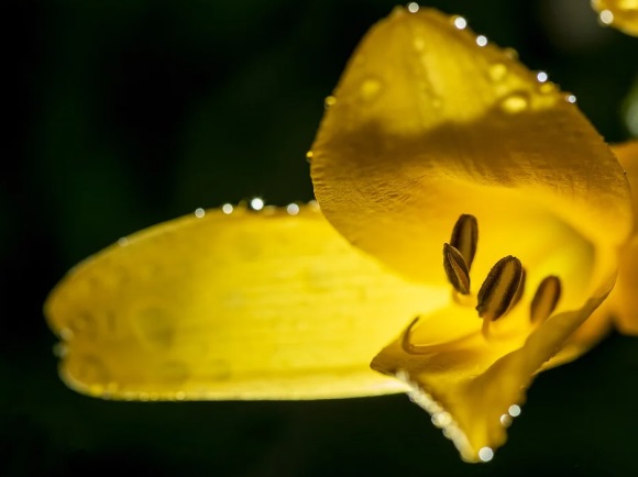 可爱qq名字女生昵称大全(共295个)