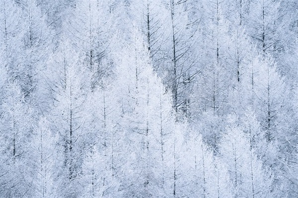 超拽霸气七字网名(共398个)