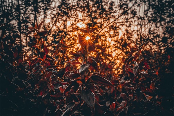 游戏昵称大全简短好听(共540个)