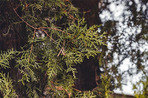 最新版霸气男生网名大全(共522个)