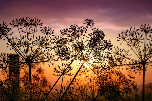 很有个性的男生伤感昵称大全(优选467个)