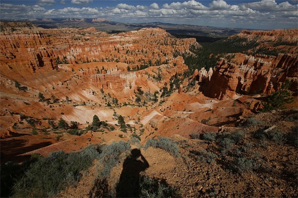 天龙八部手游女生名字(精选522个)