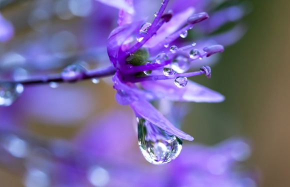 萌萌哒可爱超甜简短的少女昵称(精选296个)