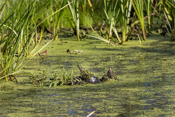 两个字的男生网名(667个)