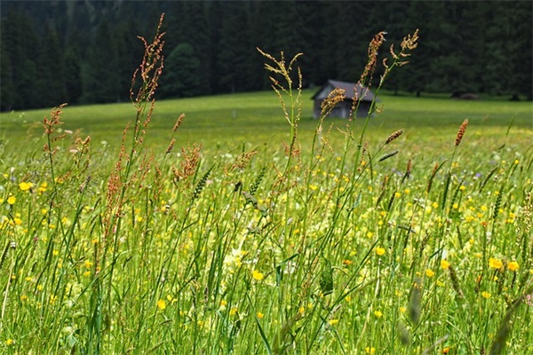 侍魂胧月传说好听的游戏名字(精选524个)