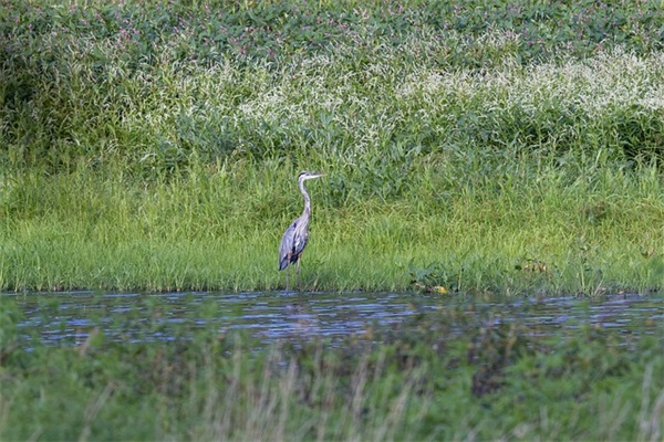 吃鸡名字大全两个字的独一无二(共686个)