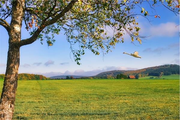 带文艺范的网名(524个)