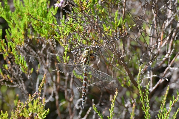 适合一个人的网名大全(优选160个)