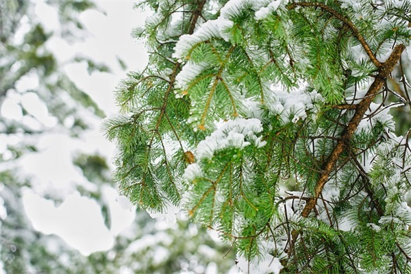 特殊符号的名字(精选84个)