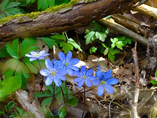 骚气一点的吃鸡名字