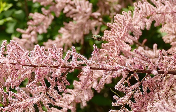 超拽霸气的网名大全(精选115个)