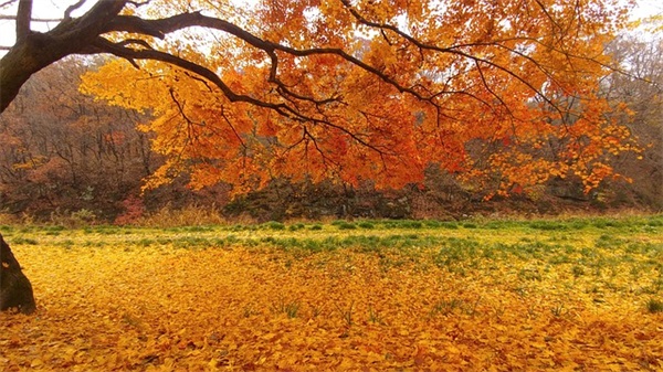 开始颓废男生网名(精选156个)