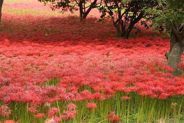 关于lol的游戏名字大全(159个)