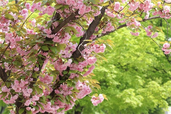 霸气有杀气名字大全(150个)