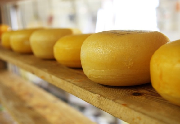 奶凶奶凶可爱网名六个字(236个)