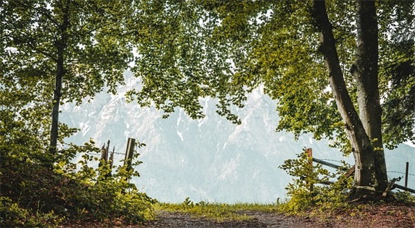 2025女孩大气有涵养的名字