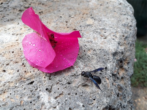 比较勾人的女网名2025(147个)