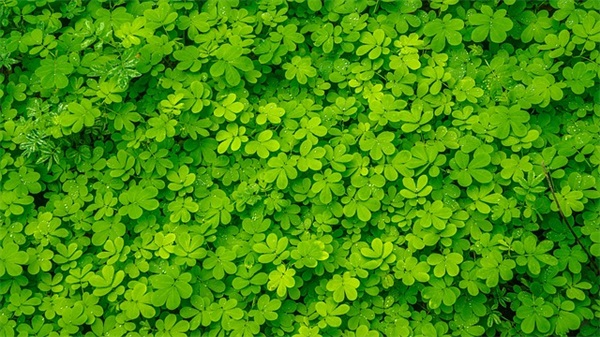 带高的网名昵称(优选159个)