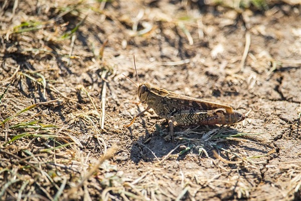 又拽又搞笑的网名(精选163个)