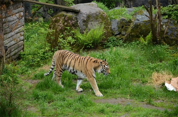 独一无二的微信名(精选144个)