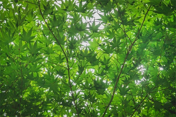 2025独特霸气网名男(162个)