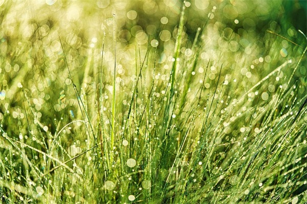 lol安妮游戏网名(优选148个)